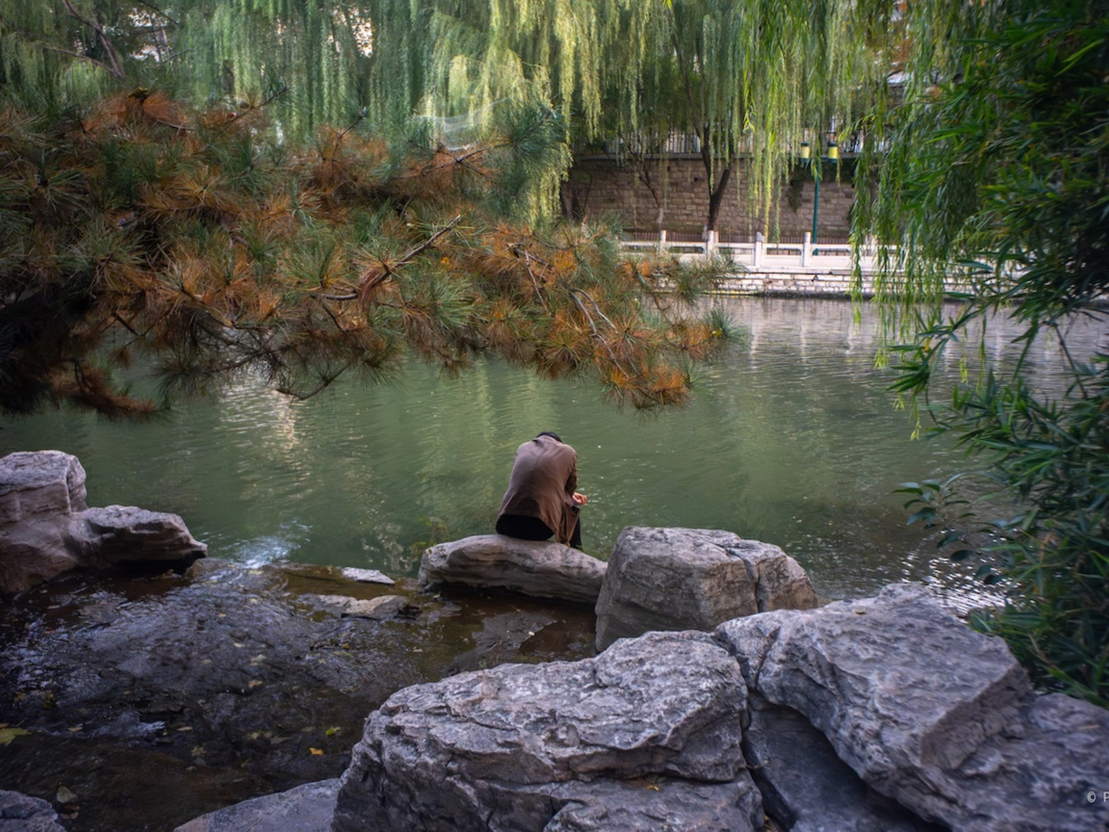 City Walk Guide:Exploring Jinan, China’s Rising Software Hub